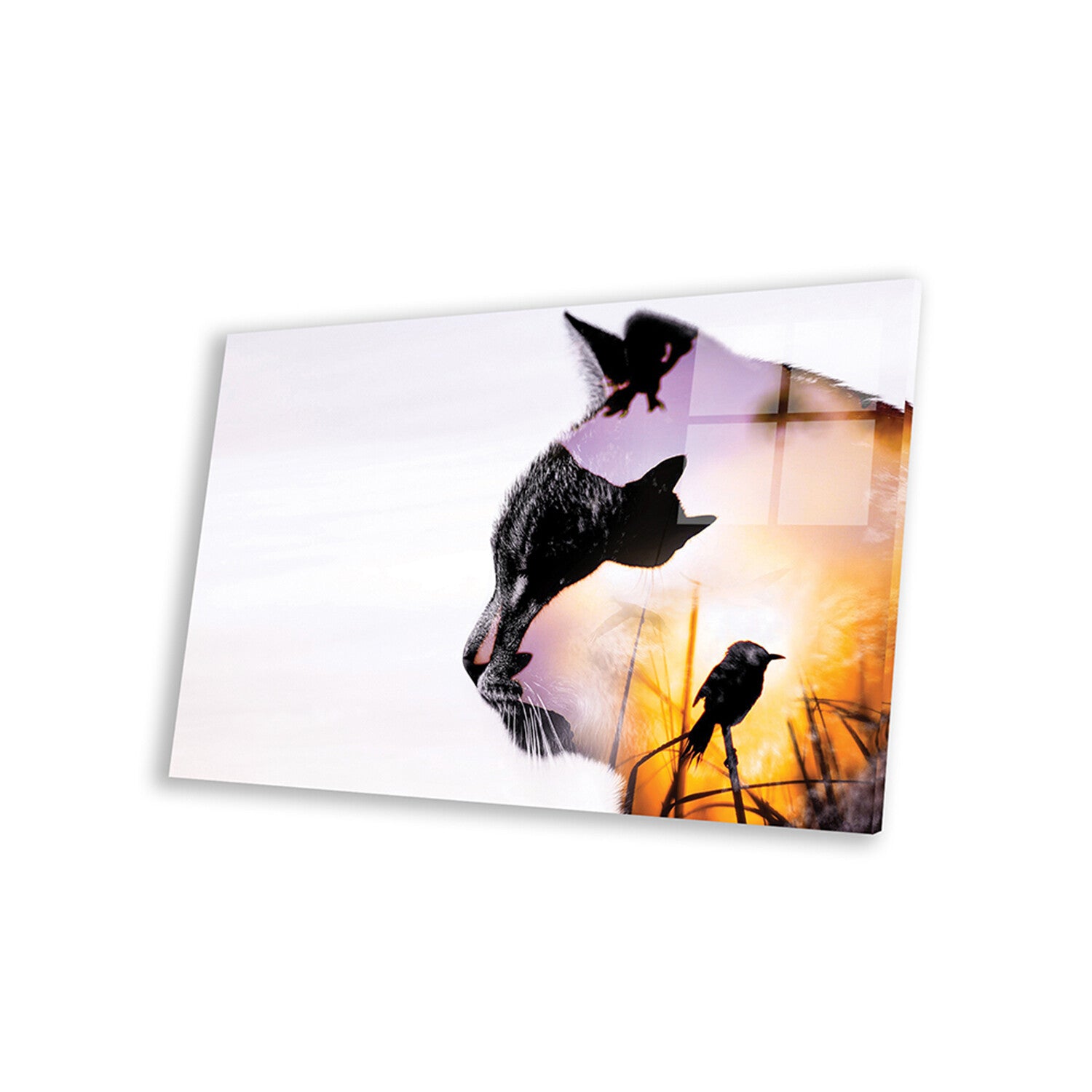 Cats Print On Acrylic Glass by Paul Haag
