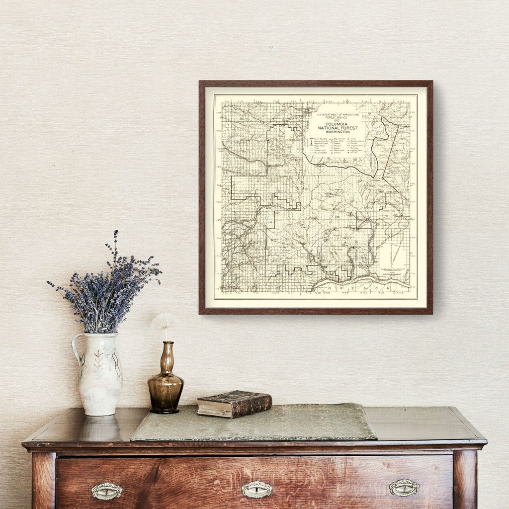 Vintage Columbia National Forest Map 1913