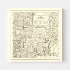 Vintage Columbia National Forest Map 1913