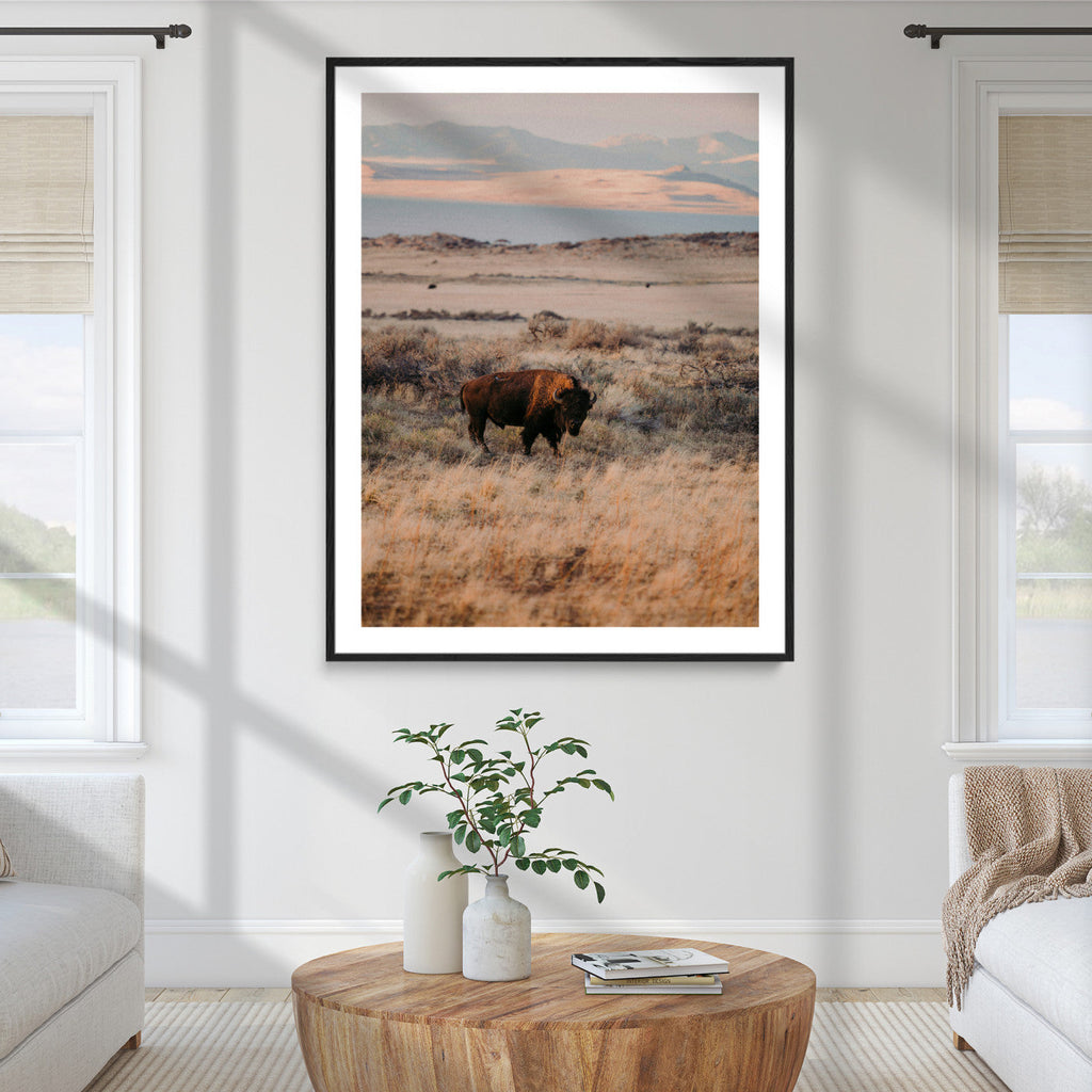 Solitary Buffalo Wall Art Canvas Print, Framed Golden Prairie Earthy Tones