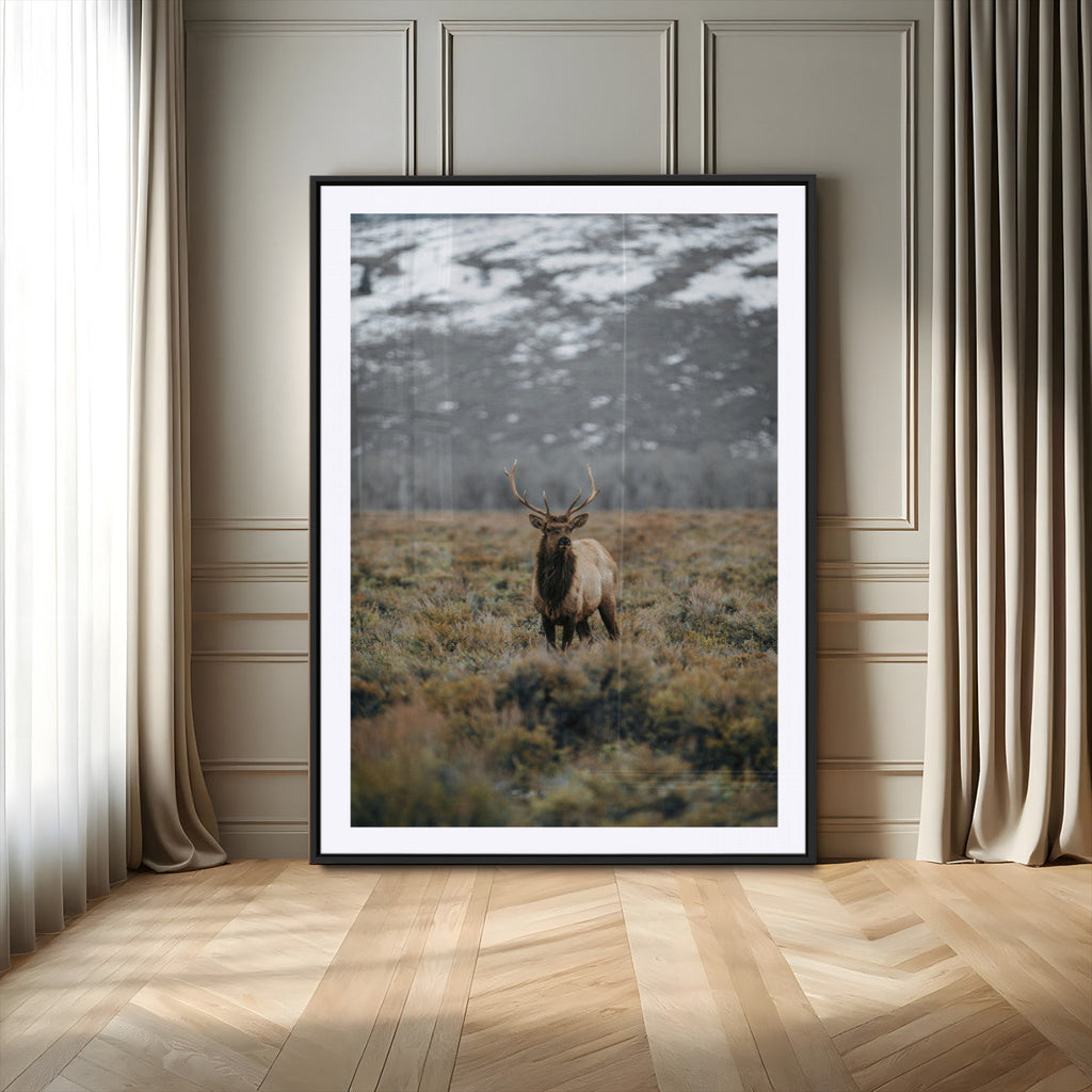Wild Elk Wall Art Canvas Print, Framed Mountain Wilderness Majestic Animal Artwork