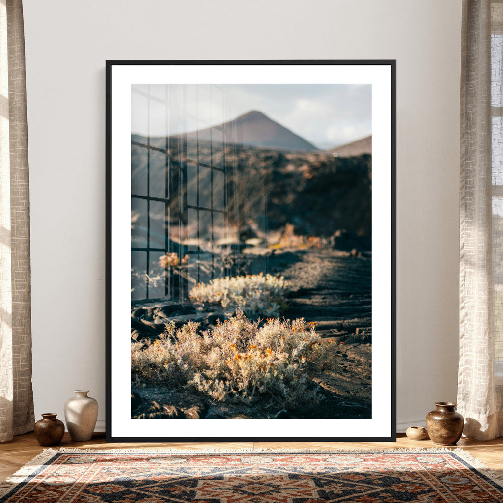 Desert Wall Art Canvas Print, Volcanic Landscape with Soft Wildflowers