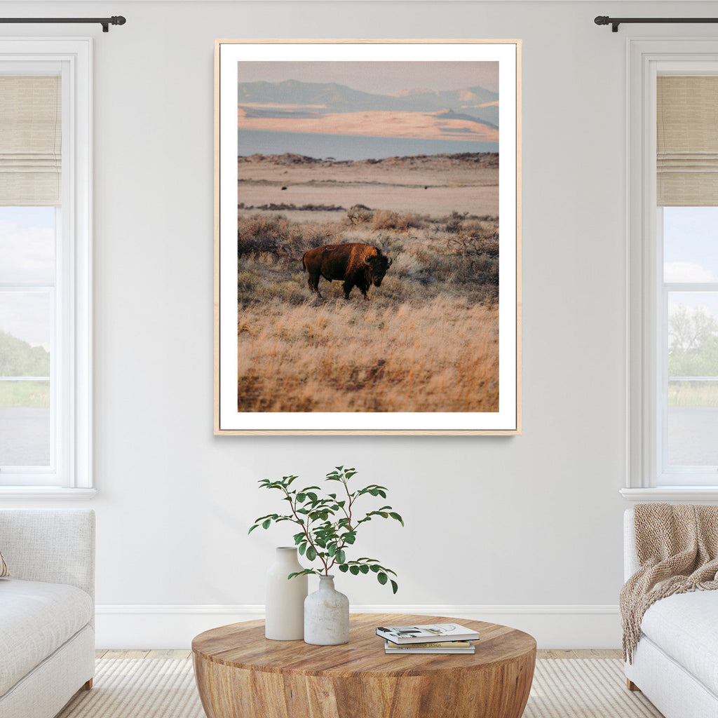 Solitary Buffalo Wall Art Canvas Print, Framed Golden Prairie Earthy Tones