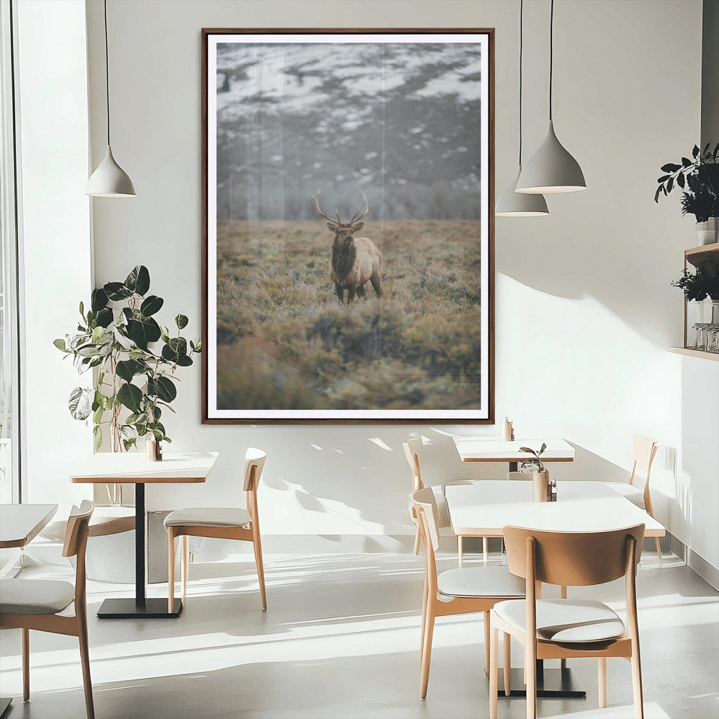 Wild Elk Wall Art Canvas Print, Framed Mountain Wilderness Majestic Animal Artwork