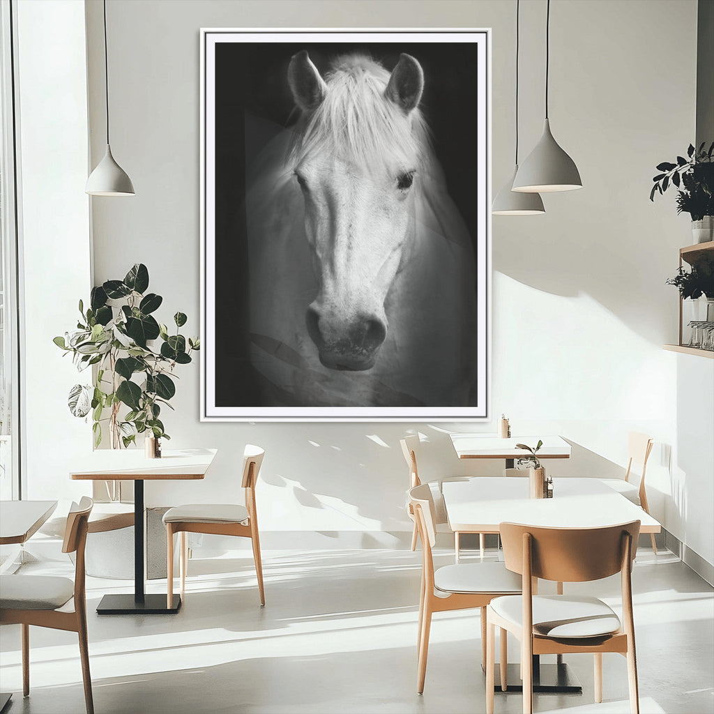 Large Wall Art White Horse Canvas Print