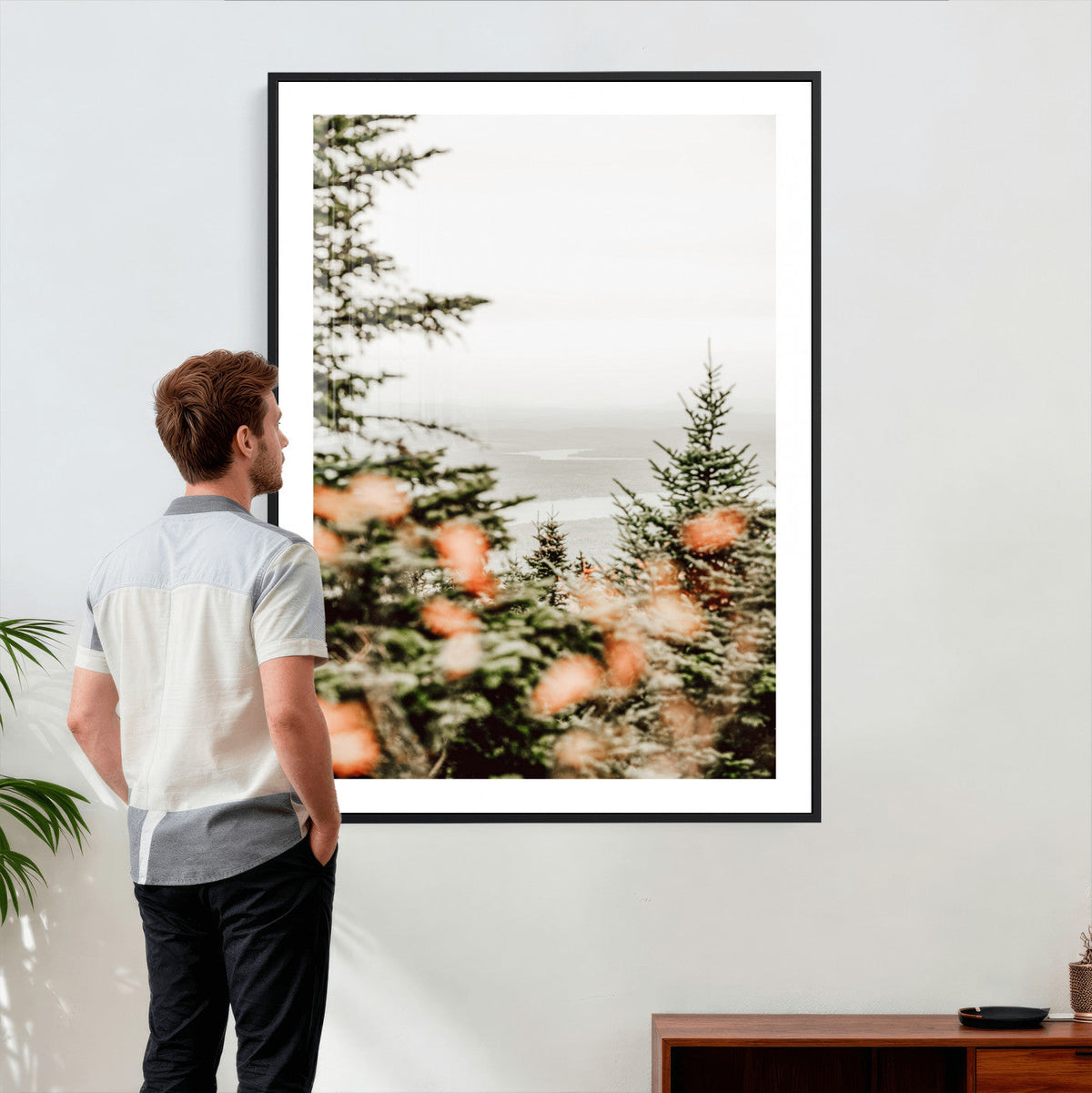 Fall Forest Wall Art Canvas Print | Soft Evergreen Woodland