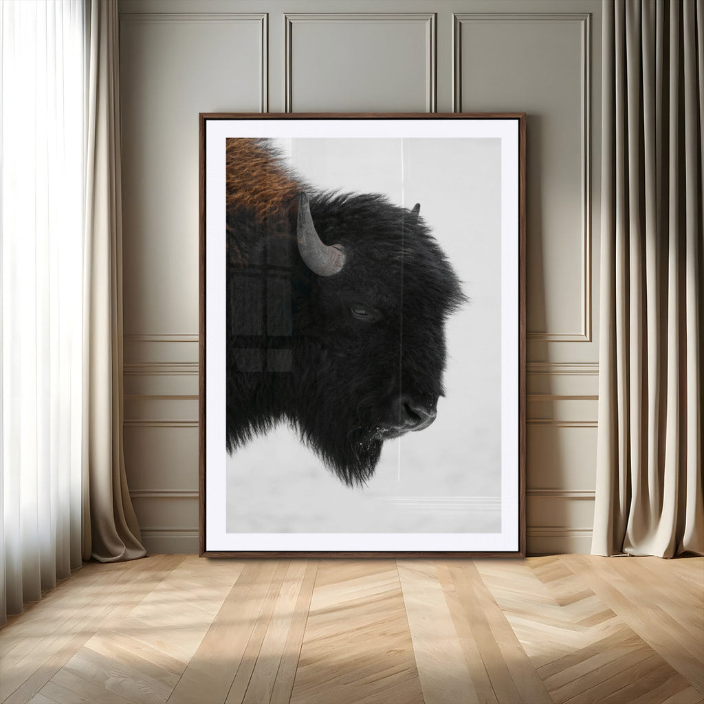 Western Rustic Wall Art Canvas Print, Framed Black and White Buffalo Photography, Wildlife Country Decor