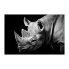Rhino