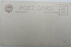 Archie Gunn, National Art No. 148 Unused Postcard, College Girl Waving Pennant