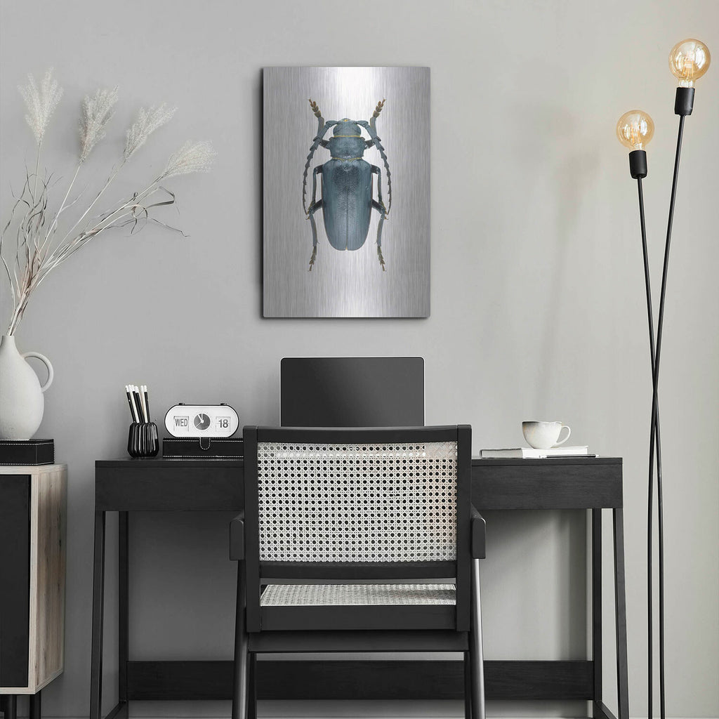 Beetle 3