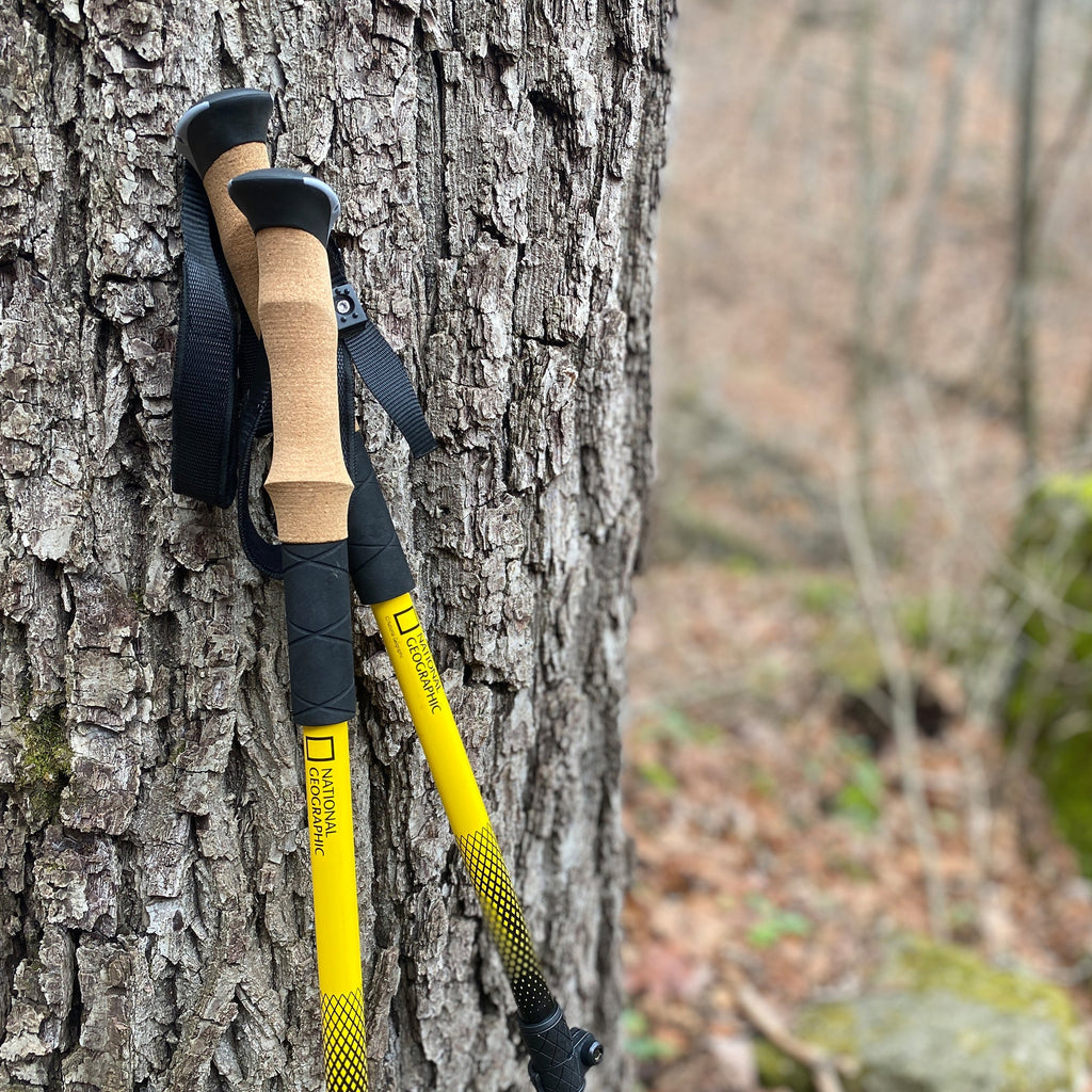 Carbon Trekking Poles Set
