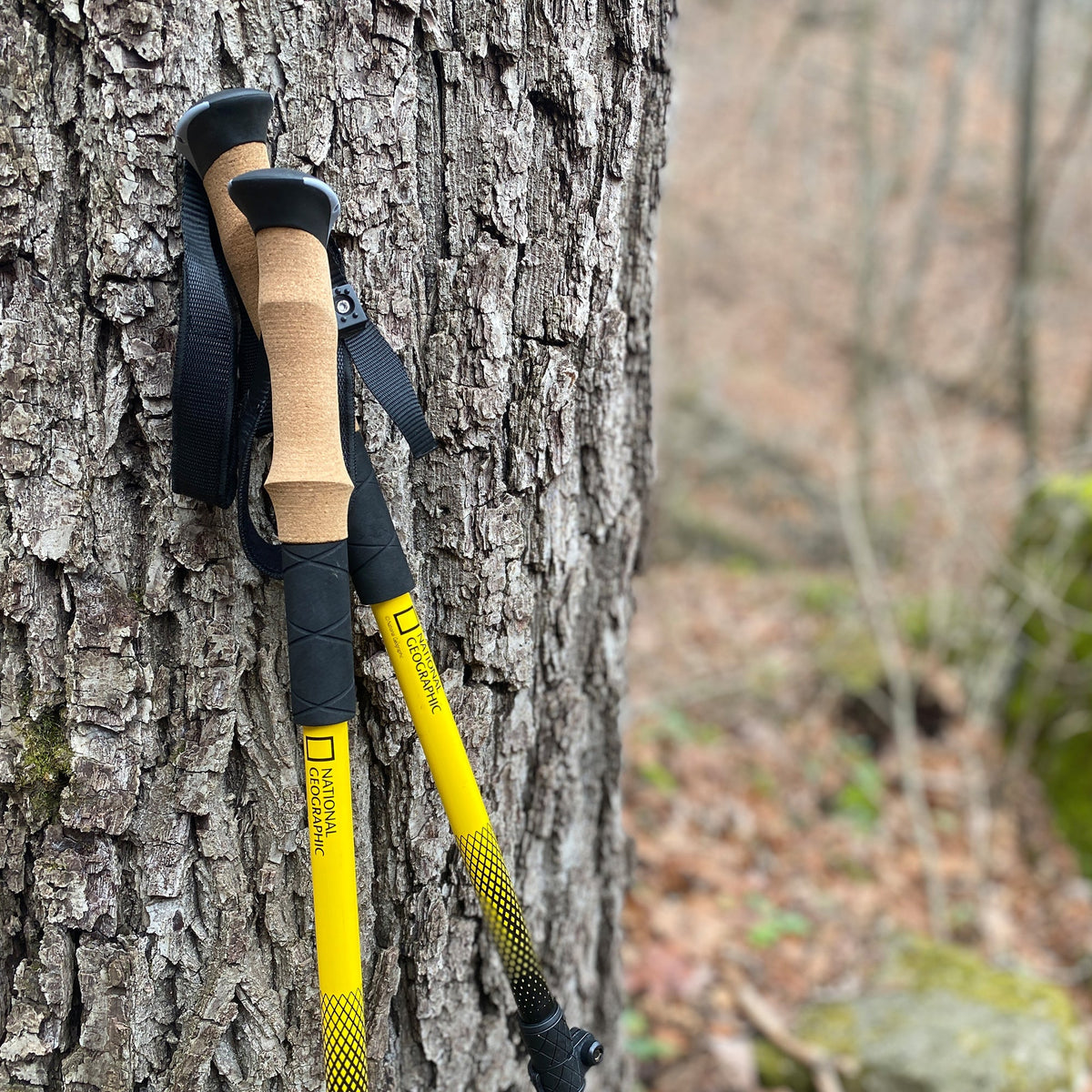 Carbon Trekking Poles Set