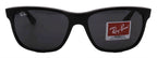 Ray-Ban Sunglasses RB4181-601/87-57-16-145 Non-Polarized