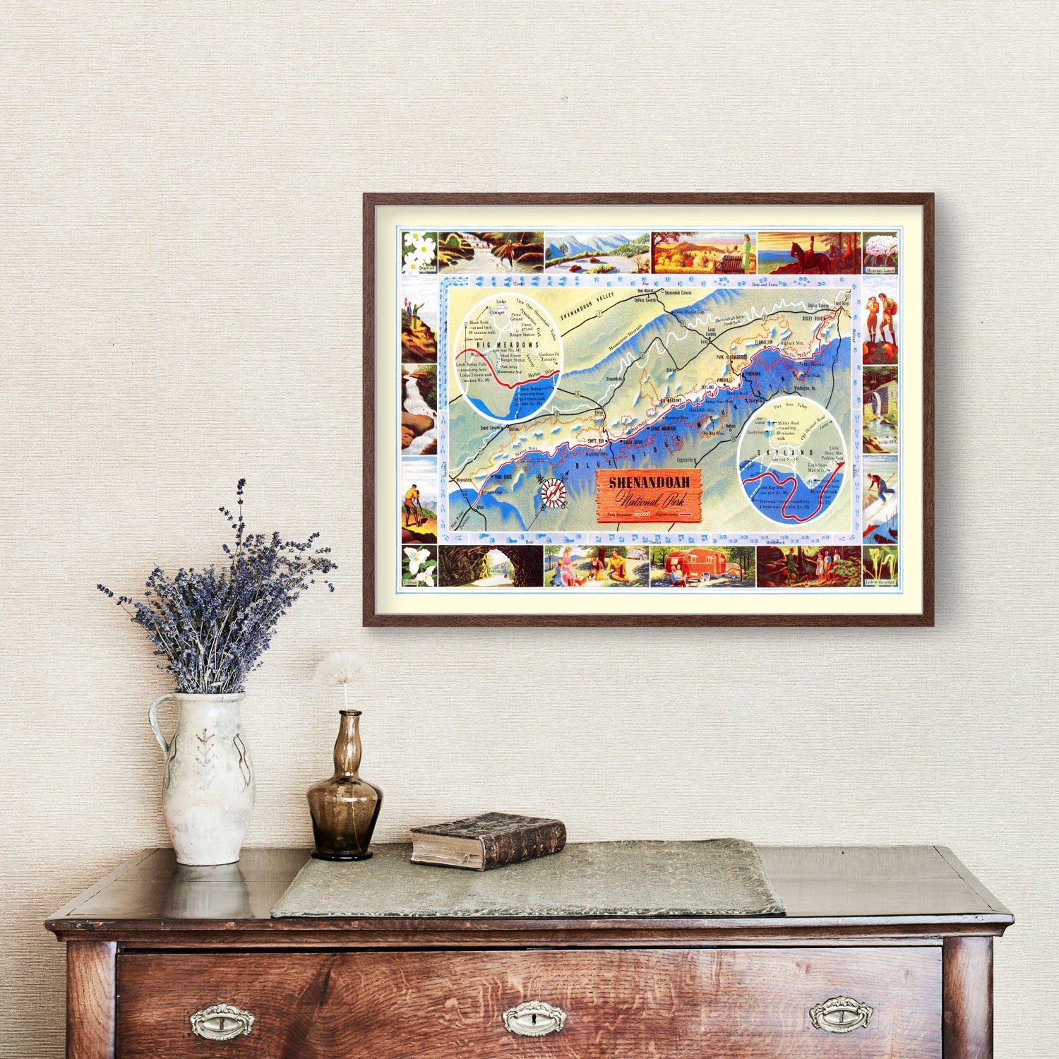 Vintage Map of Shenandoah National Park, 1947