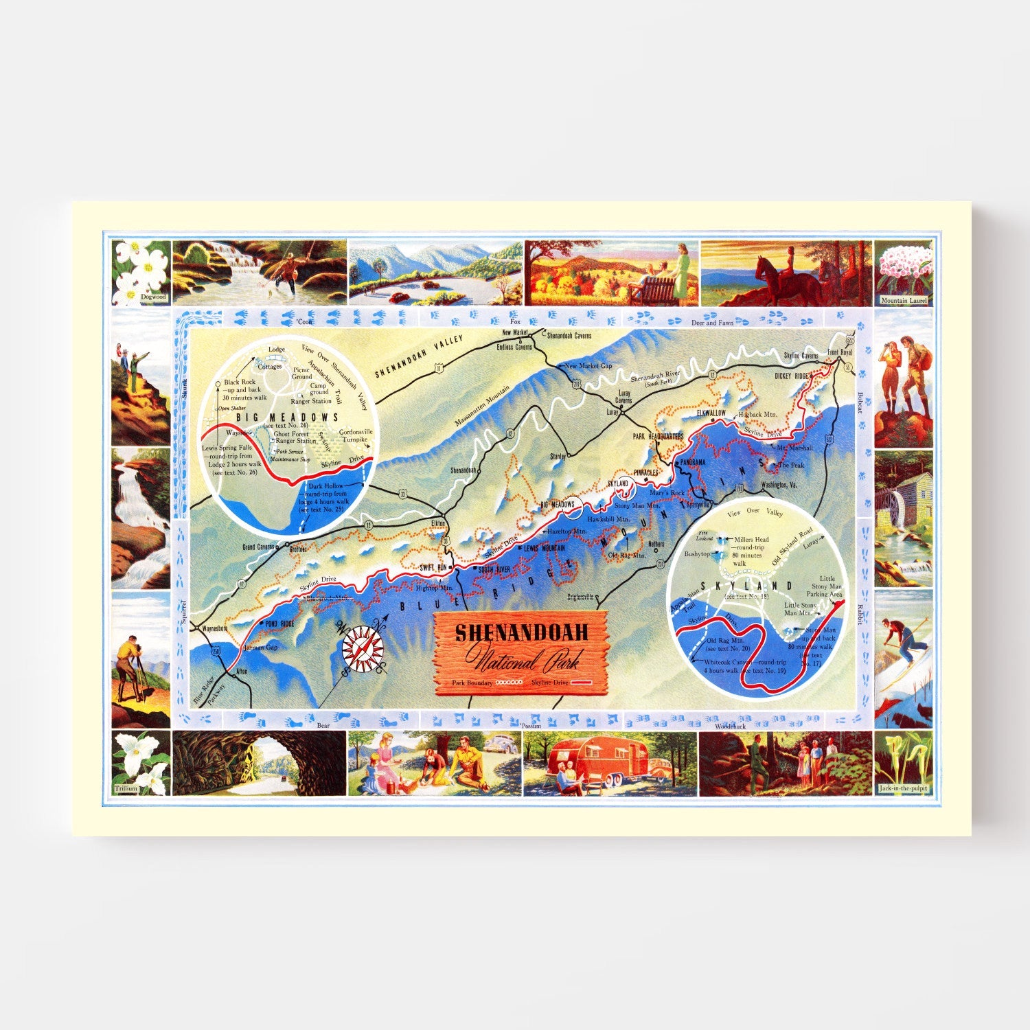 Vintage Map of Shenandoah National Park, 1947