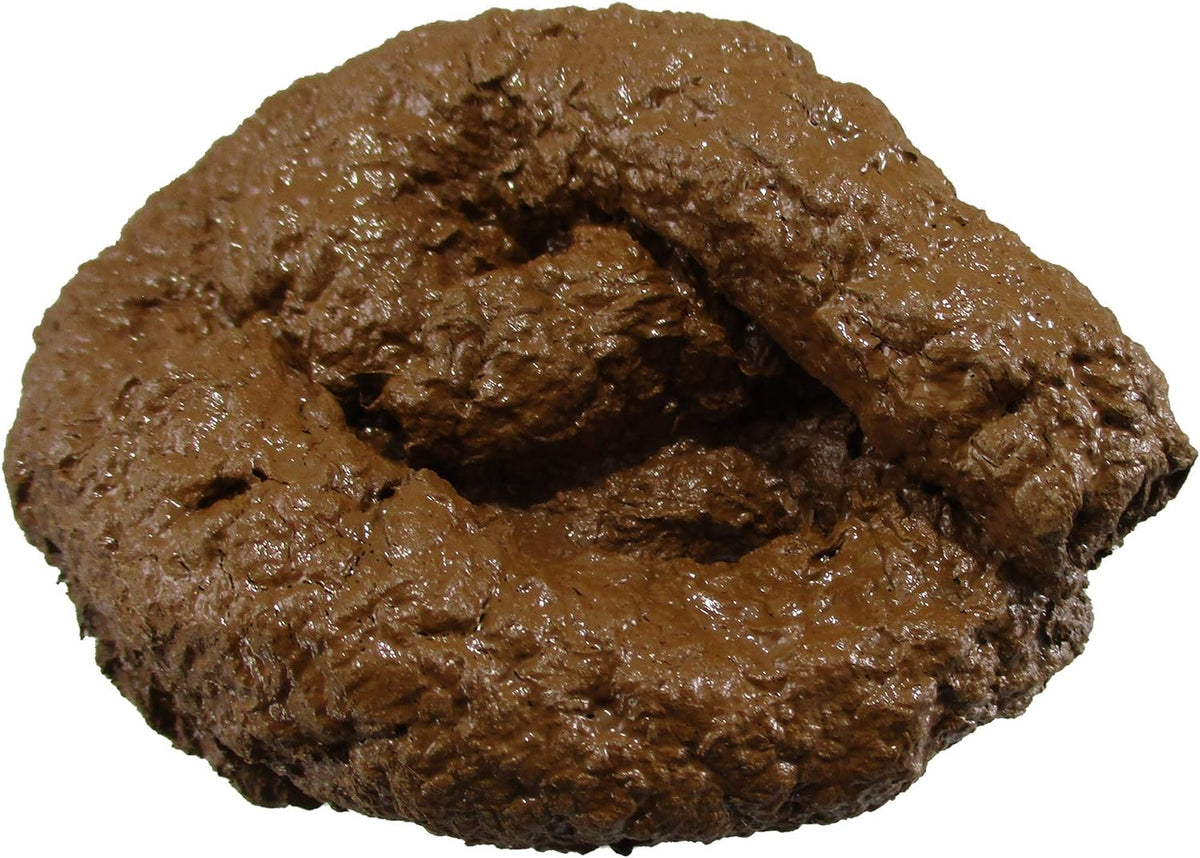 💩 Realistic Fake Dog Poop – Handmade Premium Gag Prank by Domagron