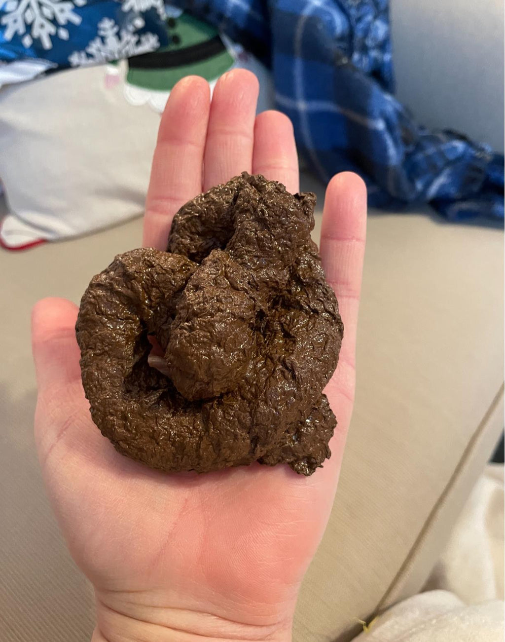 💩 Realistic Fake Dog Poop – Handmade Premium Gag Prank by Domagron