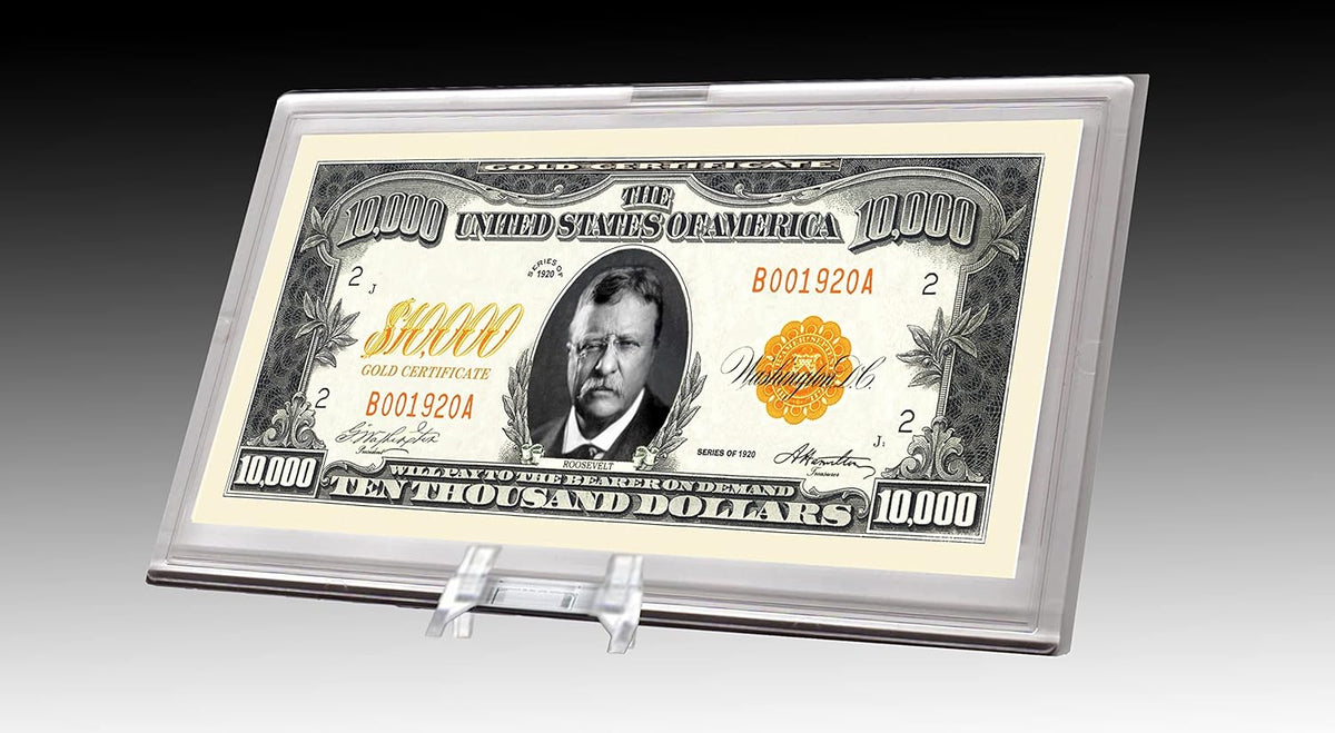 DELUXE Currency Slab Dollar Bill Plastic Case WITH STAND