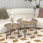 Round Nesting Coffee Table (Set of 2)
