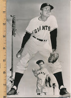 Jim Hearn 8x10 B/W 1956 Press Wire Photo New York Giants
