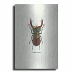 Beetle Red