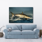 Shark Under control