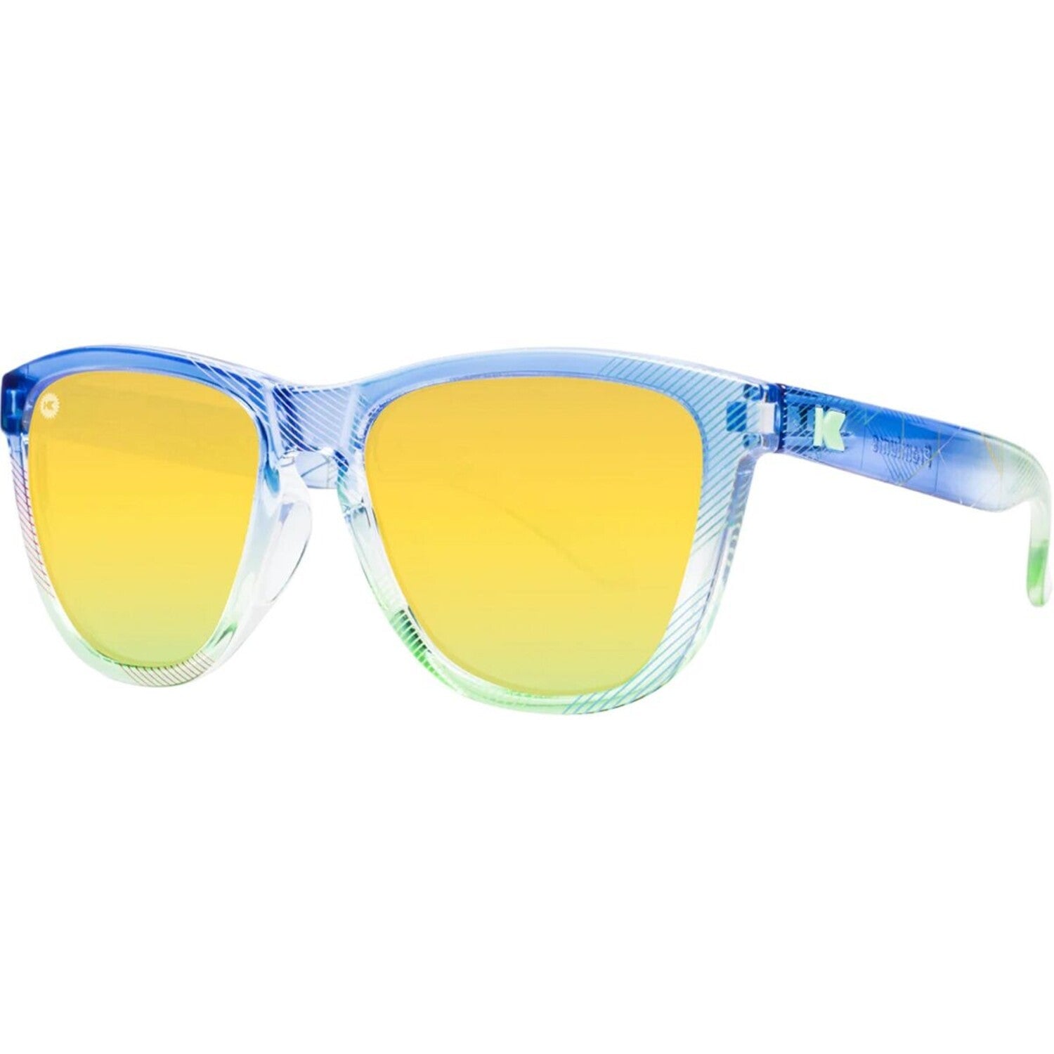 Premiums Sport Polarized Sunglasses // Prismic Premium Sport