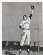 Don Mueller 6x8 B/W 1951 Press Wire Photo New York Giants