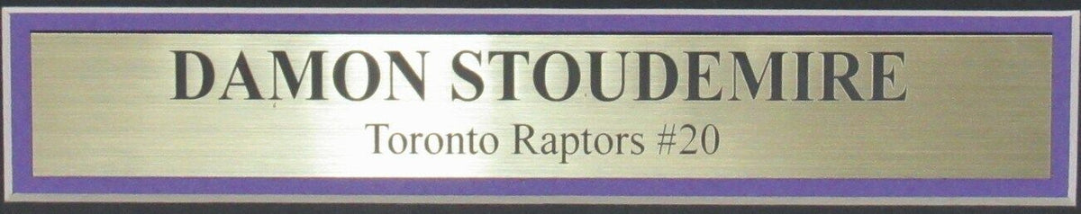 Damon Stoudamire Toronto Raptors Signed/Autographed 8x10 Photo Framed JSA 161514