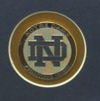 Notre Dame Vertical 11"x14" Photo DIY NEW Frame Kit 188695