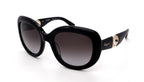 Salvatore Ferragamo Sunglasses SF727S-001-53-20-135 Non-Polarized