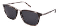Salvatore Ferragamo Sunglasses SF910S -003-54-18-145 Non-Polarized