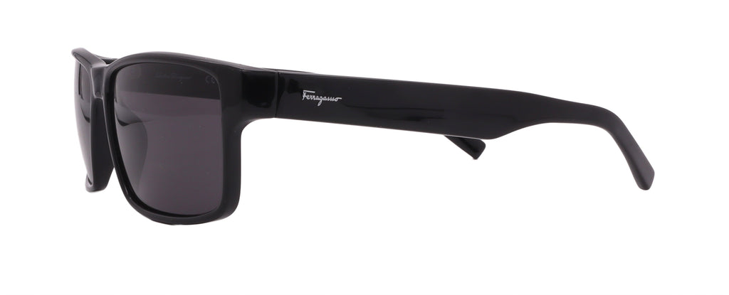 Salvatore Ferragamo Sunglasses SF960S-001-58-15-140 Non-Polarized