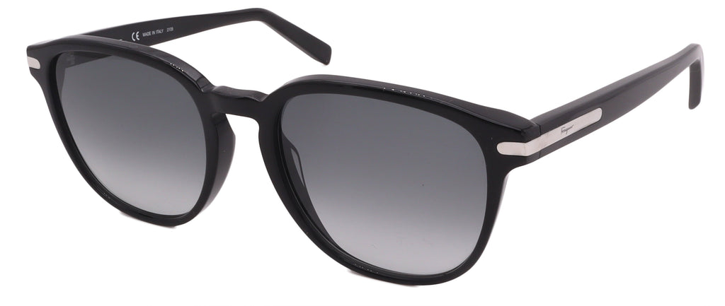 Salvatore Ferragamo Sunglasses SF993S-001-53-19-150 Non-Polarized