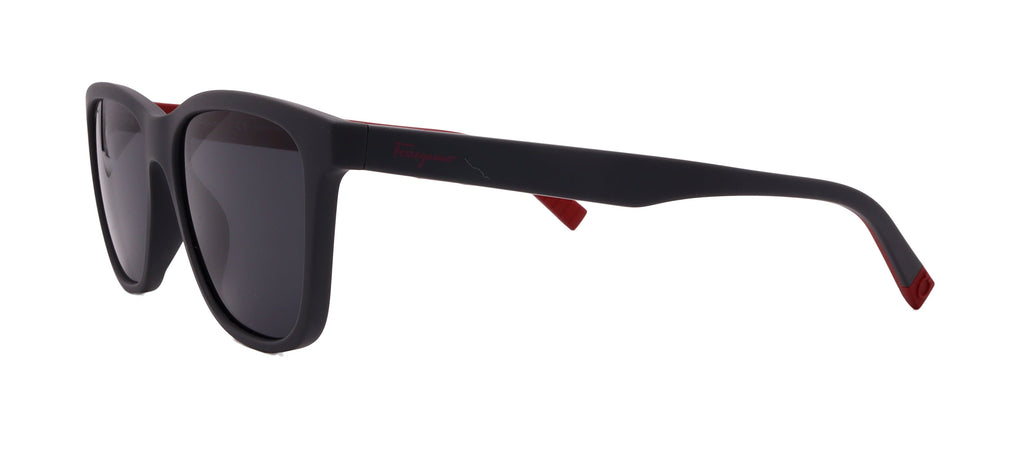 Salvatore Ferragamo Sunglasses SF998S-038-57-17-150 Non-Polarized