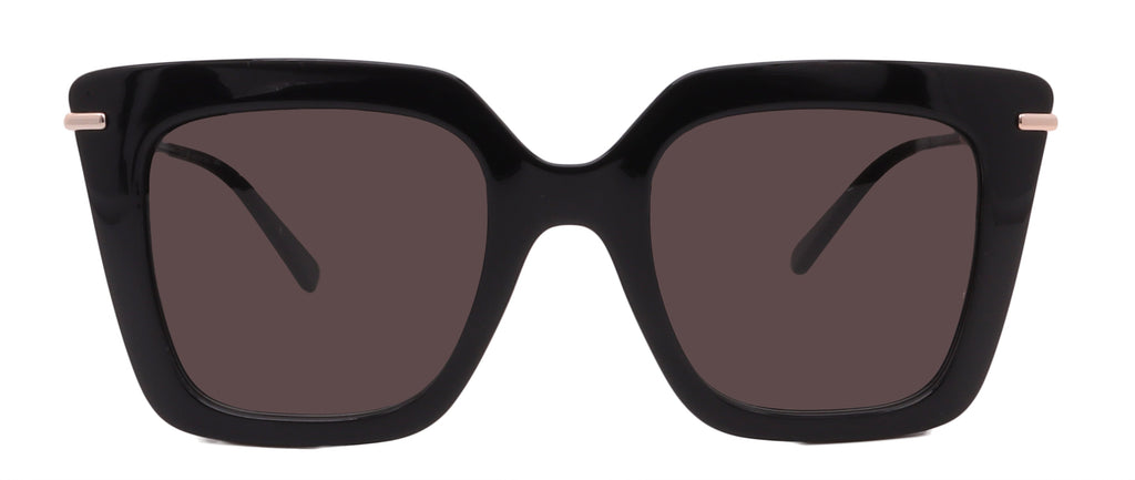 Salvatore Ferragamo Sunglasses SF1041S-001-51-22-145 Non-Polarized
