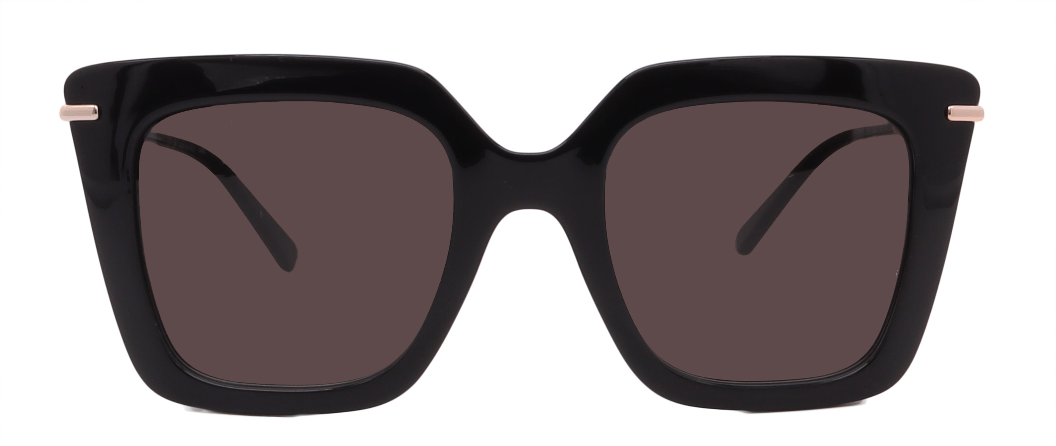 Salvatore Ferragamo Sunglasses SF1041S-001-51-22-145 Non-Polarized