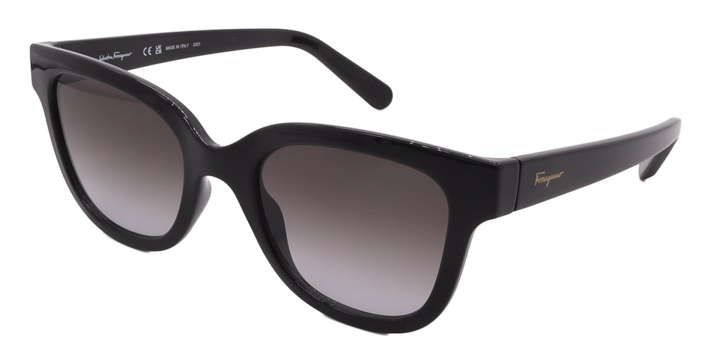 Salvatore Ferragamo Sunglasses SF1066S-001-52-21-140 Non-Polarized