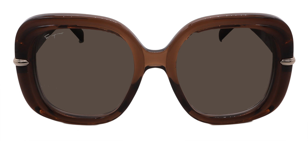 Salvatore Ferragamo Sunglasses SF1058S-232-54-20-140 Non-Polarized