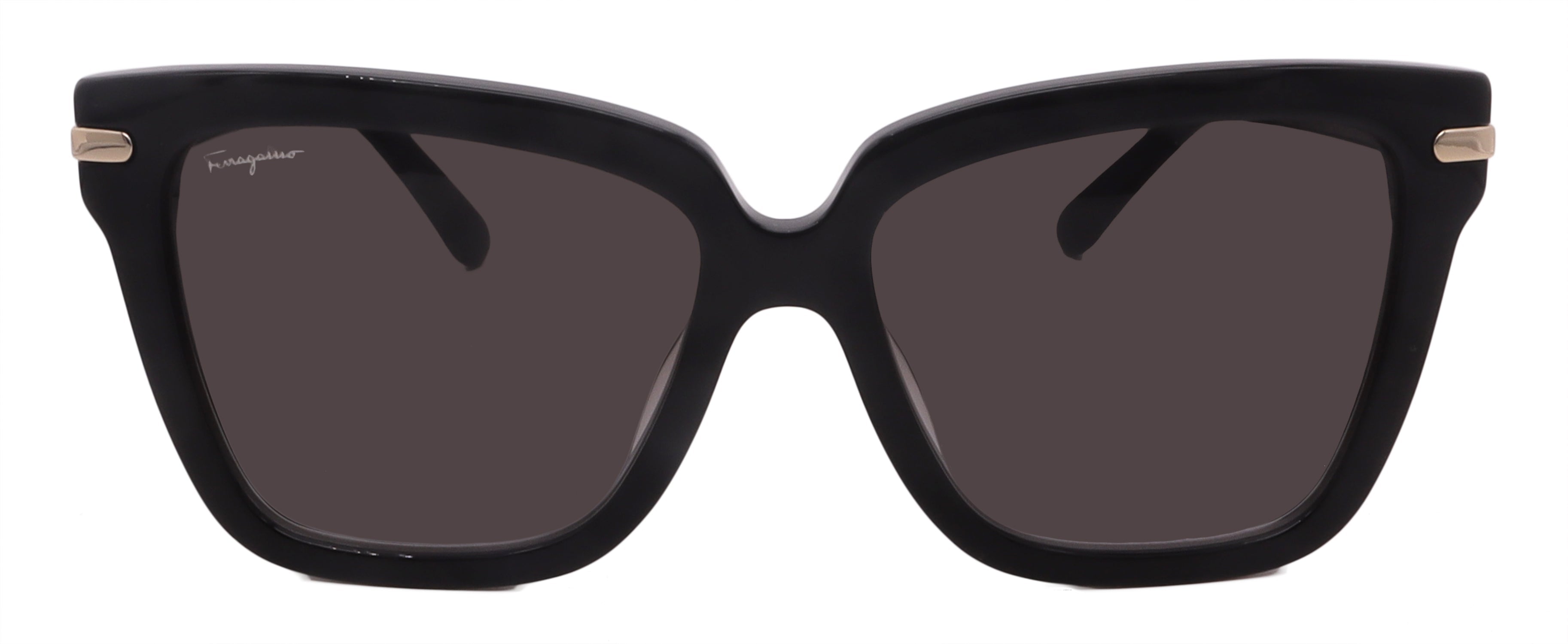 Salvatore Ferragamo Sunglasses SF1085S-011-57-16-140 Non-Polarized