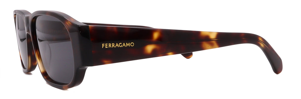 Salvatore Ferragamo Sunglasses SF1109S-242-57-14-145 Non-Polarized
