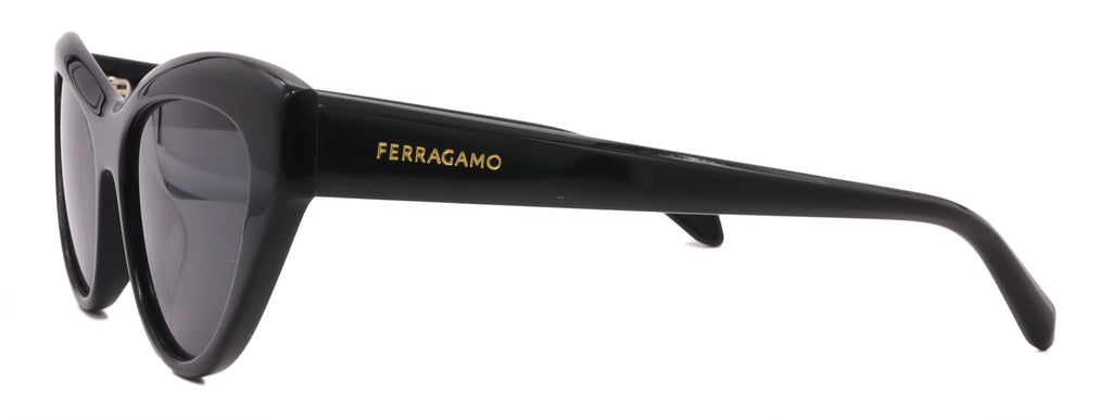 Salvatore Ferragamo Sunglasses SF1103S-001-55-17-140 Non-Polarized