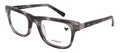 Shinola SH15002-033-51-21-145