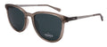 Shinola SH3701S-278-52-19-145