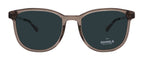Shinola SH3701S-278-52-19-145