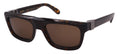 Salvatore Ferragamo Sunglasses SF2009S-242-56-21-145 Non-Polarized