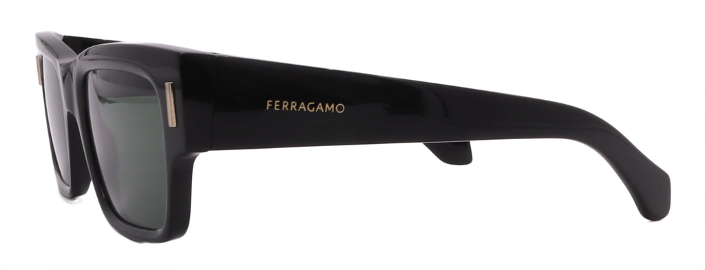 Salvatore Ferragamo Sunglasses SF2011S-001-53-21-140 Non-Polarized