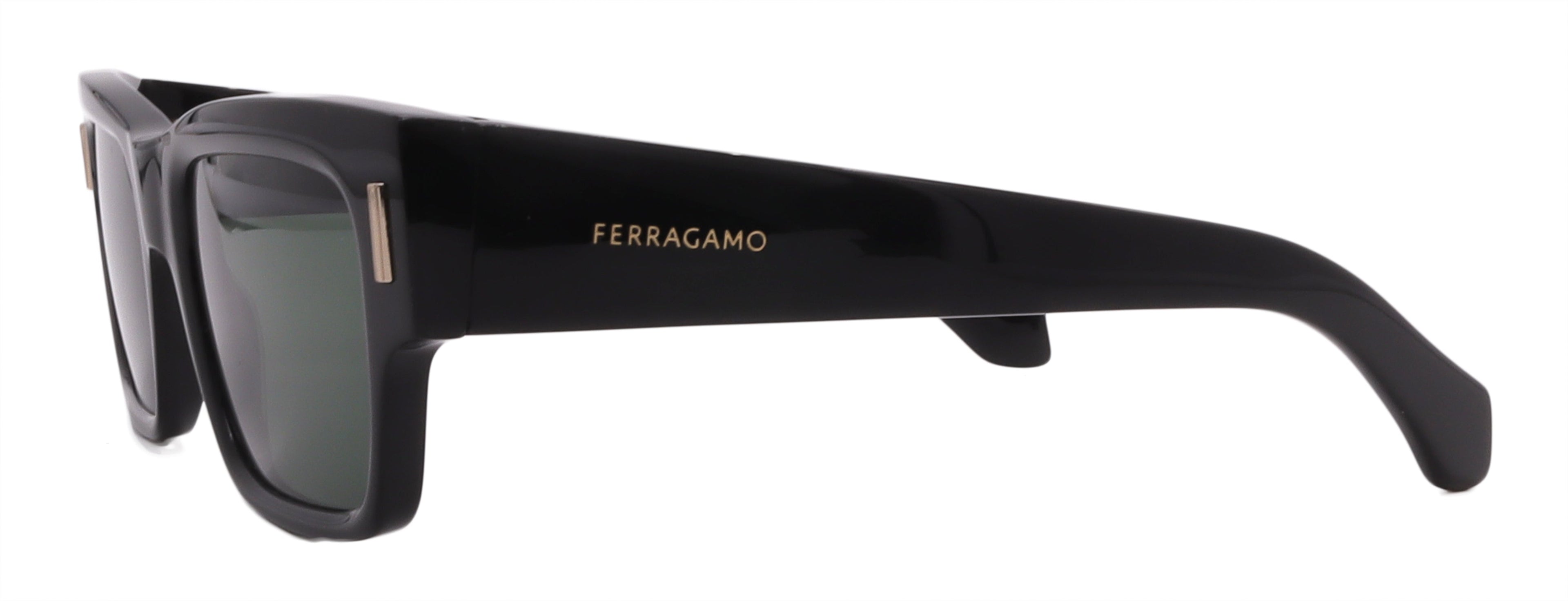 Salvatore Ferragamo Sunglasses SF2011S-001-53-21-140 Non-Polarized