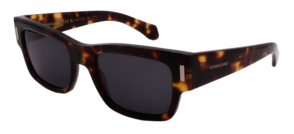Salvatore Ferragamo Sunglasses SF2011S-242-53-21-140 Non-Polarized