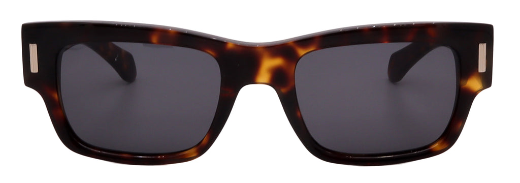 Salvatore Ferragamo Sunglasses SF2011S-242-53-21-140 Non-Polarized